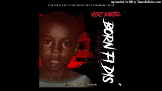 vybz kartel born fi dis album mix