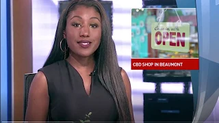 CBD News Cast