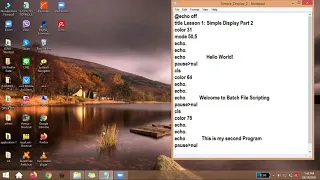 Basic Program in Batch File Scripting - Simple Display Part 2