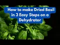 How to make Dried Basil in 3 Easy Steps on a Dehydrator