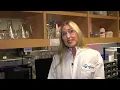 Pfizer Inc Chemist Senior Scientific Management