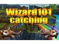 Wizard101 Catching Bear Acuda