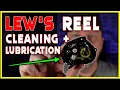 Lew s Baitcasting Reel Cleaning Service Full Disassembly Lube Rebuild