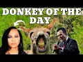 Breakfast Club Interview Tezlyn w VivekGRamaswamy Embarrassing Combative Behavior of Blk Woman