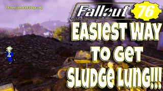 Fallout 76 Easiest Way To Get Sludge Lung Disease