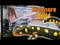 Lake Urmia Newt Enclosure Setup - Step by Step