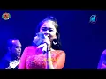Download Lagu Ikan Dalam Kolam - SK AMANDA - SK GROUP - KERAS (Kerabat Amanda SK)