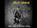 Délit Mineur - Ghali Hadefi & Christophe Astolfi