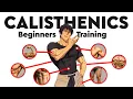Download Lagu Every Calisthenics Exercise You Need To Build an Anime Physique (Starting from ZERO)