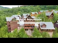 1106 Black Bear Cub Way
