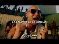 Wisin - Que Viva la Vida(Letra)