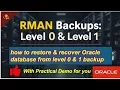 RMAN Level 0 Level 1 Backups how to restore recover Oracle database from level 0 1 backup