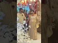 Download Lagu Entrance during wedding party ##wedding  #weddingparty