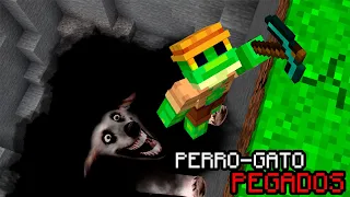 ¿Qué hay dentro del agujero más profundo Minecraft?- PERROYGATO fueron cortados a la MITAD y PEGADØS