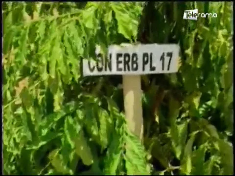 Ecuador Agropecuario 31-10-2017