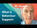 Behaviour Support in a Nut Shell BSP 2