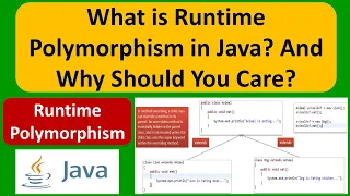 What is Runtime Polymorphism in Java And Why Should You Care Java Tutorial