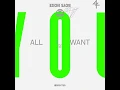 Boys Noize - All I Want feat. Jake Shears (Extended Mix)