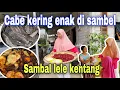 Download Lagu BAGI-BAGI IKAN LELE KOLAM DALAM RUMAH⁉️ TERNYATA SEPERTI INI RASA CABAI KERING