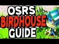 The Ultimate Birdhouse Guide Old School Runescape