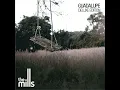 Guadalupe - The Mills