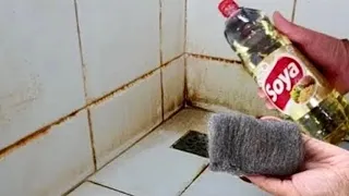 ISSO CHUPA SUJEIRA ACUMULADA SEM LAVAR! Meu Deus como Só Descobri Isso Hoje 😱
