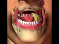 Download Lagu Mastication  chewing animation
