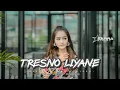 Safira Inema - Tresno Liyane (Official Music Video)