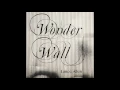 Wonderwall arrangement by Lance Allen featuring Avery Bright on violin
