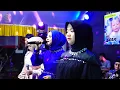 Download Lagu PERMATA SAYANG - ALL ARTIS - AN NABILA - TASYAKURAN WALIMATUL TASMIYAH -  GISEAN ARSYA DEWANDRA