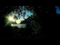 Strong Wind Over River 🌬️ Sun Reflection Nature Ambience (4K)