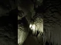 Download Lagu Adventure into Mulu National Park (UNESCO World Heritage Site), Sarawak #shorts #travel #sarawak