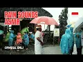 Download Lagu HEAVY RAIN in Bali: Tropical ASMR to Help You Relax and Sleep 🌧️