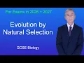 GCSE Biology Revision Evolution by Natural Selection