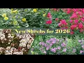 New Shrubs for 2026
