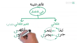        الألف اللينة   السنة الأولى متوسط دندنها