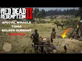 Special Miracle Tonic Location and Golden Currant - Red Dead Redemption 2 RDR2 Secret Locations
