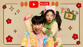 친남매의 생과일 산도 리뷰 먹방