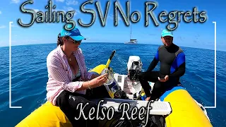E41 – Jo’s Birthday, Scuba Diving Pristine Coral at Kelso Reef