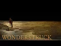 Video di WONDERSTRUCK Official Teaser Trailer
