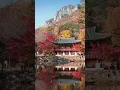 Download Lagu Zen Garden | Meditation Music For Deep Relaxation, Mindfulness \u0026 Healing