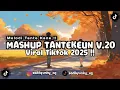 DJ MASHUP MELODY TANTE V.20 MASHUP ENAF SLOW REVERB KANE VIRAL TIKTOK 2025 !!