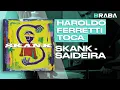 Saideira - Skank (HAROLDO FERRETTI) | Braba