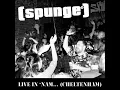 Kicking Pigeons (Live)