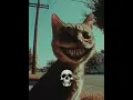 Lagu Cat Can't Be Scary But... 🐱😱💀 #cat #scarycats #cutecat #viral #edit #trolledit #tranding #foryou