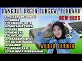 Download Lagu DANGDUT ORGEN TUNGGAL SPESIAL TAHUN BARU 2025 FULL BASS BENERAN ENAK AUDIO JERNIH BIKIN HATI ADEM