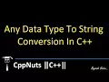 Any Data Type To String Conversion In C