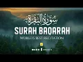 Download Lagu Surah AL BAQARAH Full (سورة البقره) THIS ULTIMATE VOICE WILL TOUCH YOUR HEART | Zikrullah TV