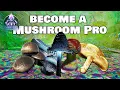 Survive Spores and ALL Mushroom Uses - Aberration