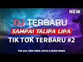 Download Lagu DJ TERBARU SAMPAI TALIPA LIPA PART 2 TIK TOK HOKKY | TOP AXA 1990 NO VIDEO LIRYCS \u0026 MUSIC REMIX